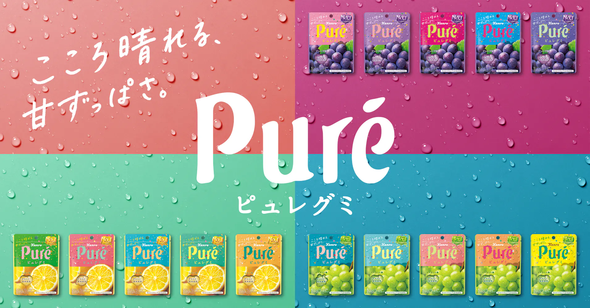 【ピュレグミでお馴染み！】 数々の人気商品で市場を牽引するキャンディメーカー生産技術職のリアルを知る座談会！